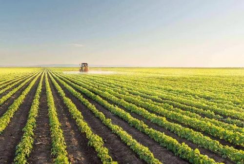 農(nóng)產(chǎn)品銷售難 這些新的農(nóng)場(chǎng)的營(yíng)銷方式,讓瓜果蔬菜變現(xiàn)更容易