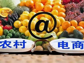 農村電商扶貧的困境有哪些 又該如何應對