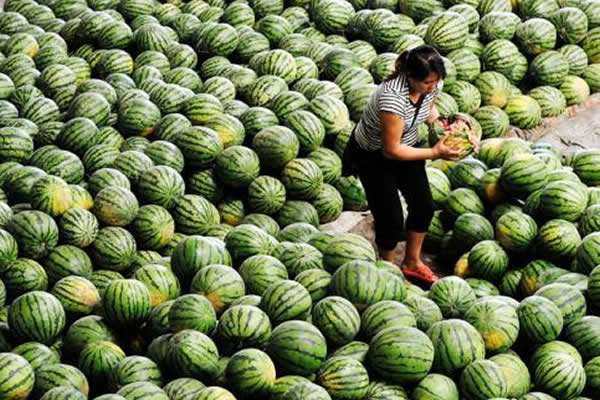 農(nóng)產(chǎn)品滯銷令人心痛,產(chǎn)地?zé)o人問(wèn)津 銷售地鳳毛麟角,怎么辦